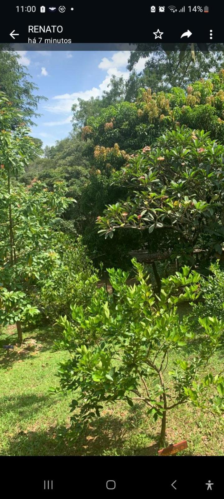 Chacara Monte Holiday home Itu