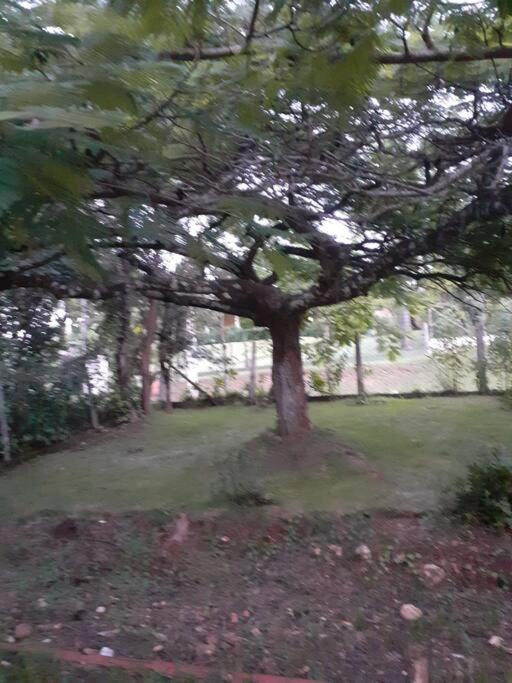 Chacara Monte *